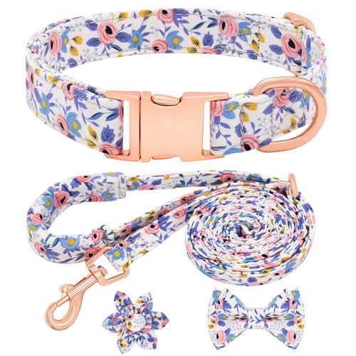 Dote on Hundehalsband und Leine, Set mit Fliege, Mädchen-Hundehalsband mit abnehmbarer Blume mit starker goldfarbener Schnalle, verstellbares, weich gepolstertes Haustierhalsband für kleine, von Dote on