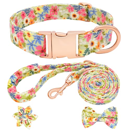 Dote on Hundehalsband und Leine, Set mit Fliege, Mädchen-Hundehalsband mit abnehmbarer Blume mit starker goldfarbener Schnalle, verstellbares, weich gepolstertes Haustierhalsband für kleine, von Dote on