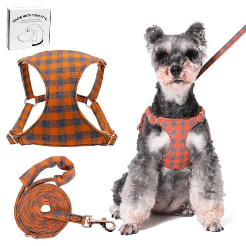 Dote on No Pull Hundegeschirr und Leine, weich, verstellbar, Welpen- und Katzengeschirr, floral/kariert, ausbruchsicher, Haustierweste, Geschirr für extra kleine/kleine mittelgroße Hunde, Orange von Dote on