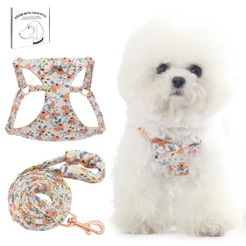 Dote on No Pull Hundegeschirr und Leine, weich, verstellbar, Welpen- und Katzengeschirr, floral/kariert, ausbruchsicher, Haustierweste, Geschirr für extra kleine/kleine mittelgroße Hunde, Orange von Dote on