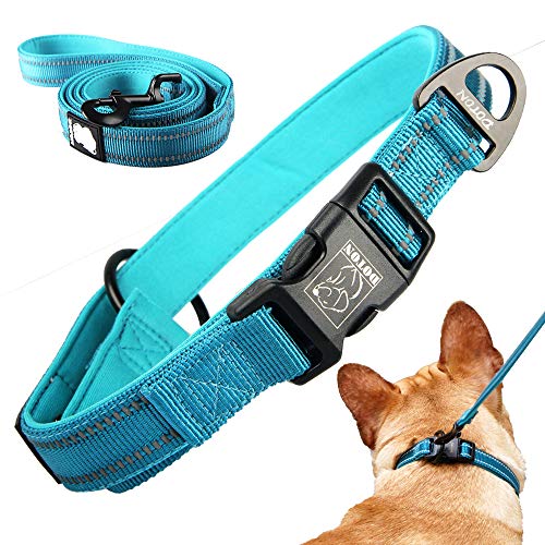 Dotoner Komfortables Hundehalsband mit Leine, aus weichem und gepolstertem Neopren, verstellbare und reflektierende Leine, für kleine und mittelgroße Hunde Aller Rassen geeignet(Blau,M) von Dotoner