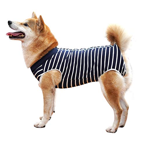 Dotoner Recovery Suit Hund,Haustiere Schutz Kleidung Hunde Kleidung für Genesung nach der Operation E-Kragen Alternative für Welpe (3XL, blau) von Dotoner