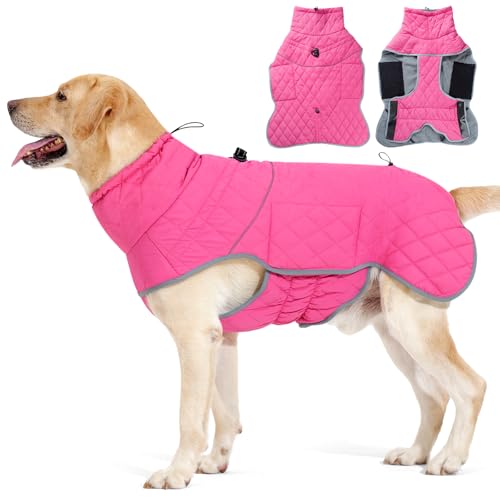 Dotoner Wasserdichter Hundemantel Reflektierende Hundejacke für kaltes Wetter mit weichem Fleecefutter Warmer Mantel mit Geschirr für kleine-große Hunde Indoor &Outdoor Camping Wandern von Dotoner