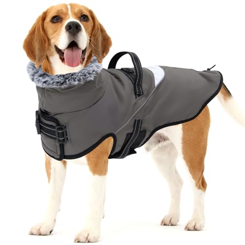 Dotoner Wasserdichter Hundemantel mit Geschirr Winter Hundemantel warme Jacken Hunde kaltes Wetter reflektierende Jacke Camping Wandermäntel von Dotoner