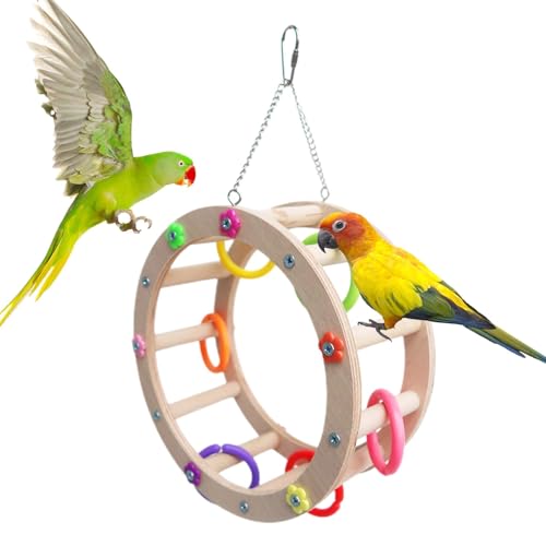 Vogelspielzeug Riesenrad - Buntes Vogelschaukelspielzeug für Vogelsitzstangen | Vogelfutter Spielzeug Papagei Riesenrad Spielzeug für Eichhörnchen Papagei, Spatz, Sittich von Dottduya