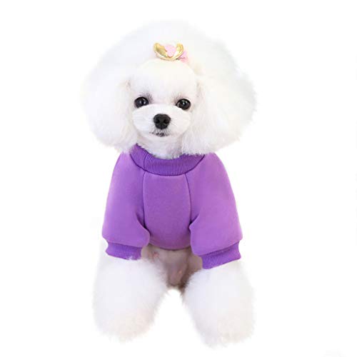 Haustier Kleidung Hundepullover Hunde Kleider Carrot Sweater Cute Dog Clothing Kleine und mittelgroße Hundehaustierkleidung Hundepullover Bestellen von Doublehero