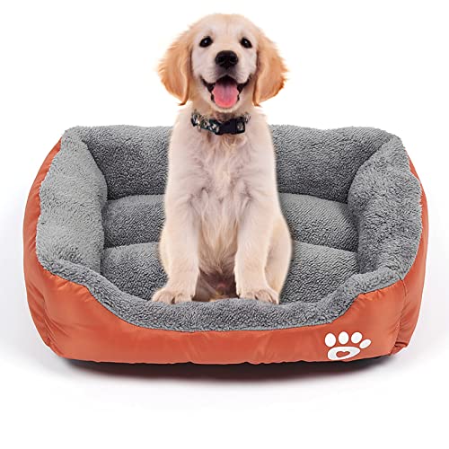 Doublehero Hundebett Hundekissen Hundekorb Hundebett mit Rand Hundekissen mit Rutschfestes Boden Weiches Waschbares Haustierbett für Kleine Mittlere und Grosse Hunde zu 3KG 43 * 32cm (Orange) von Doublehero