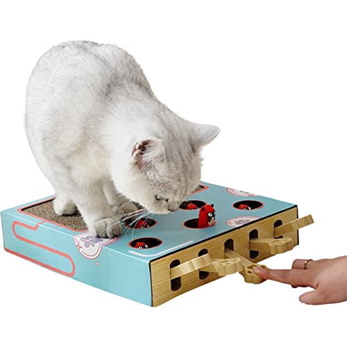 Douchi Kratzbrett für Katzen | Whack-a-Mole Katzenspielzeug und 3-in-1-Kratzblock aus Wellpappe | Interaktives Katzenspielzeug Train IQ für Hauskatzen und Kitten-Cat-Zubehör von Douchi