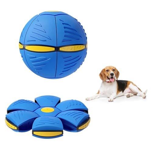 Haustier Spielzeug Frisbee Ball,Fliegend Untertasse Ball Spielzeug für Hunde,Fliegender Ball für Hunde,Pet Toy Frisbee Ball Hund,Haustier Spielzeug Fliegende Untertasse Ball Hund für Hundetraining von Doukesh