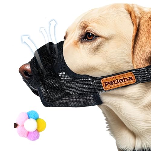 Nylon-Maulkorb für Hunde,Verstellbare Hunde Maulkorb für Kleine Mittlere Hunde,Weicher Netzmaulkorb,Haarspange für Hunde,Mesh Maulkorb Hund,Verhindert Das Beißen,Kauen,Bellen,Weicher Atmungsaktiver,M von Doukesh