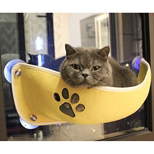 Doumadup Fensterplätze Für Katzen Hängematte Für Katzenbett Pet Fenster Bett Cat Fenster Barsch Montieren Fenster Pod Liege Saugnäpfe Warmes Bett Für Pet Cat Rest House von Doumadup