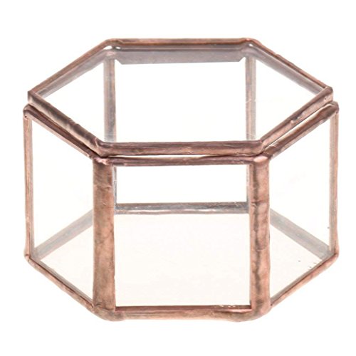 Doumneou Geometrische Glas Terrarium Box Schmuck Box Glas Sukkulenten Topf Sechseck Form von Doumneou