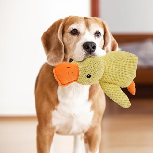 Dovxk Enten Interaktives Hundespielzeug Unzerstörbar Quietschend, Ente Kuscheltier Quietschendes Hundespielzeug, Nette Duck Plush Hund Kauspielzeug, Katzenspielzeug Selbstbeschäftigung von Dovxk