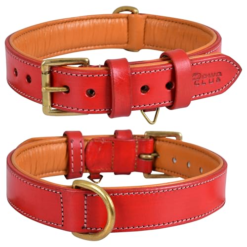 Dowg-Club | Hundehalsband aus echtem Leder, vollnarbig, strapazierfähig, bequem, gepolstert, stark, ideal für kleine, mittlere, große und XL-Rassen (L(Halsumfang 47-57cm), Rót) von DowgClub