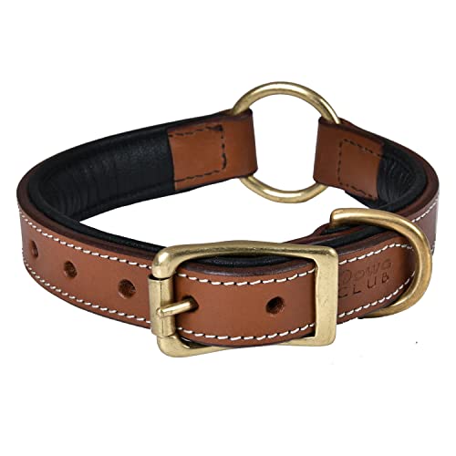 Dowg-Club | Hundehalsband aus echtem Leder, vollnarbig, strapazierfähig, bequem, gepolstert, stark, ideal für kleine, mittlere, große und XL-Rassen (L ((Halsgröße 47-57cm), Braun mit O-Ring in Mitte) von DowgClub