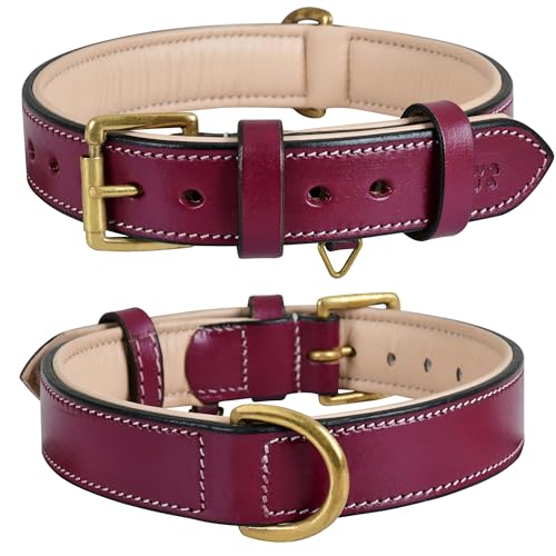 Dowg-Club | Hundehalsband aus echtem Leder, vollnarbig, strapazierfähig, bequem, gepolstert, stark, ideal für kleine, mittlere, große und XL-Rassen (M(Halsgröße 37-47cm), Rósa) von DowgClub