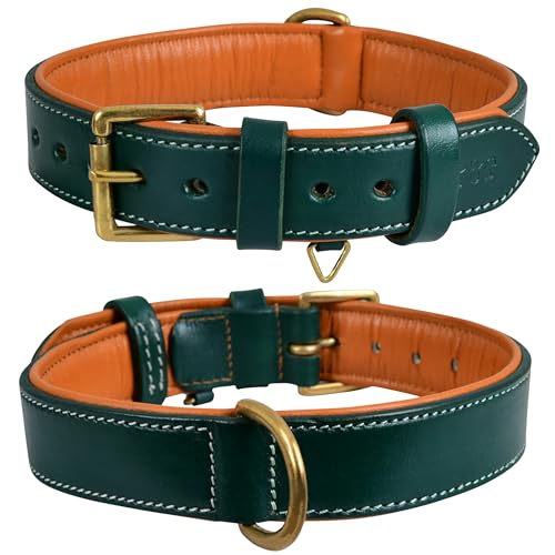 Dowg-Club | Hundehalsband aus echtem Leder, vollnarbig, strapazierfähig, bequem, gepolstert, stark, ideal für kleine, mittlere, große und XL-Rassen (M ((Halsgröße 37-47cm), Blaugrün) von DowgClub