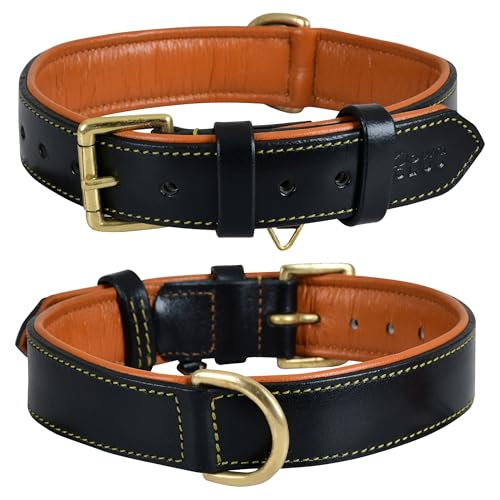 Dowg-Club | Hundehalsband aus echtem Leder, vollnarbig, strapazierfähig, bequem, gepolstert, stark, ideal für kleine, mittlere, große und XL-Rassen (S(Halsumfang 29-37cm), Schwarz) von DowgClub