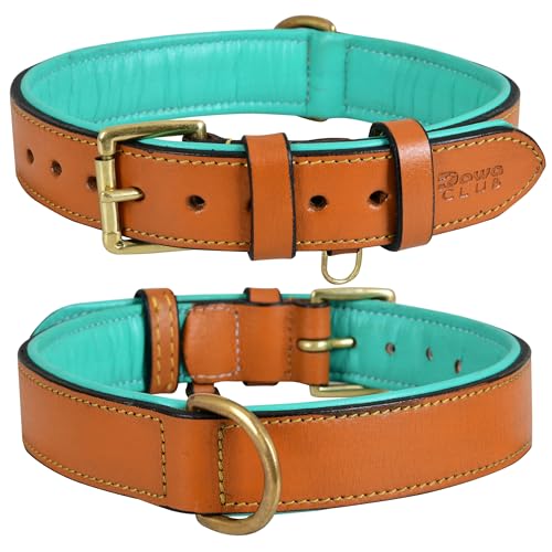 Dowg-Club | Hundehalsband aus echtem Leder, vollnarbig, strapazierfähig, bequem, gepolstert, stark, ideal für kleine, mittlere, große und XL-Rassen (S(Halsumfang 29-37cm), bräunen) von DowgClub