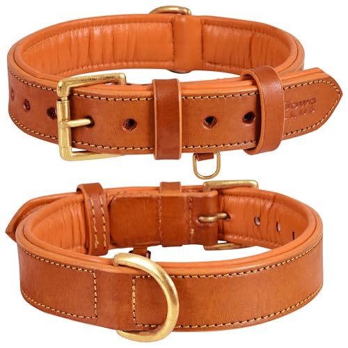 Dowg-Club | Hundehalsband aus echtem Leder, vollnarbig, strapazierfähig, bequem, gepolstert, stark, ideal für kleine, mittlere, große und XL-Rassen (XL (Halsgröße 57-65cm), Hellbraun) von DowgClub