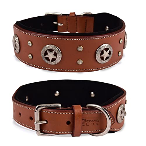 Dowg-Club | Hundehalsband aus echtem Leder mit Spikes, vollnarbig, strapazierfähig, große und XL-Rasse | 5,5cm breit (L (passt Halsumfang 47-57 cm), Hellbraun mit antiken Kupferbeer-Conchos) von DowgClub