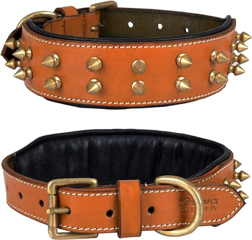 Dowg-Club | Hundehalsband aus echtem Leder mit Spikes, vollnarbig, strapazierfähig, große und XL-Rasse | 5cm breit (M (Halsumfang 36,8-47 cm), Braun mit goldenen Spitzen) von DowgClub