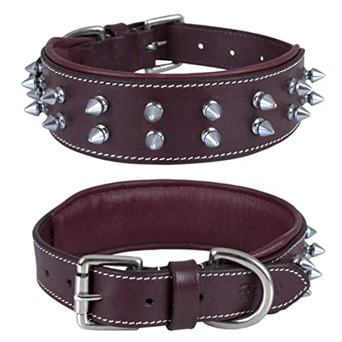 Dowg-Club | Hundehalsband aus echtem Leder mit Spikes, vollnarbig, strapazierfähig, große und XL-Rasse | 5cm breit (M (Halsumfang 36,8-47 cm), Kirsche mit silbernen Farbspitzen) von DowgClub