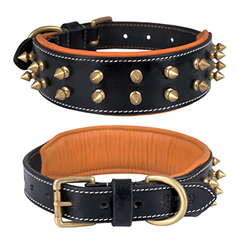 Dowg-Club | Hundehalsband aus echtem Leder mit Spikes, vollnarbig, strapazierfähig, große und XL-Rasse | 5cm breit (M (Halsumfang 36,8-47 cm), schwarz mit goldfarbenen Spitzen) von DowgClub