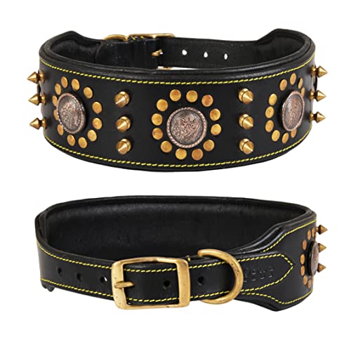 DowgClub,Punk Series Hundehalsband aus echtem Leder,Vollnarben, Sattelqualität, strapazierfähig,luxuriös, stilvoll, bequem, am besten für mittelgroße, XL-Rassen,47 cm), schwarz) von DowgClub