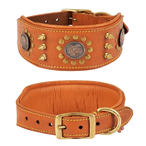 DowgClub,Punk Series Hundehalsband aus echtem Leder,Vollnarben, Sattelqualität, strapazierfähig,luxuriös, stilvoll, bequem, am besten für mittelgroße, XL-Rassen,57.1 cm), Hellbraun) von DowgClub