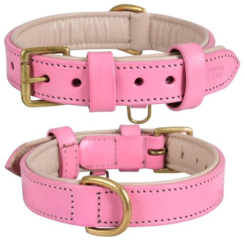 DowgClub Hundehalsband aus Leder, Hundehalsband für kleine Hunde, 1,9 cm breit, echtes Vollnarben, strapazierfähig, bequem, weiche Polsterung, Blush Pink, Größe S (passend für Halsumfang 29,2 cm - von DowgClub