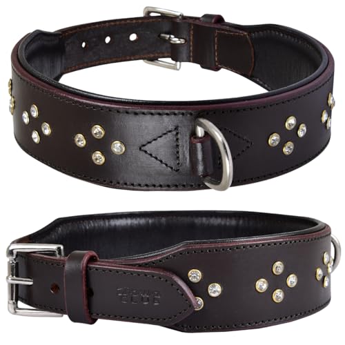 DowgClub Hundehalsband aus der Cupola-Serie aus echtem Leder, Strass, weich, gepolstert, handgefertigt, am besten für mittelgroße und große, XL Rassen (M (Halsumfang 36,8 cm - 47 cm), silberne von DowgClub