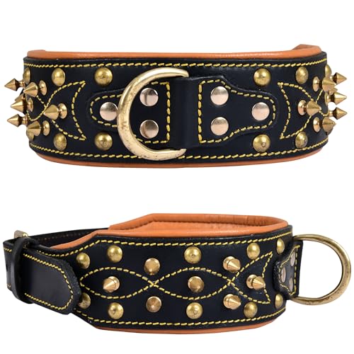 DowgClub Hundehalsband aus echtem Leder, Western-Stil, vollnarbig, strapazierfähig, gepolstert, bequem, stark, am besten für mittelgroße und große XL-Rassen, 5,1 cm breit (XL (passend für Halsumfang von DowgClub