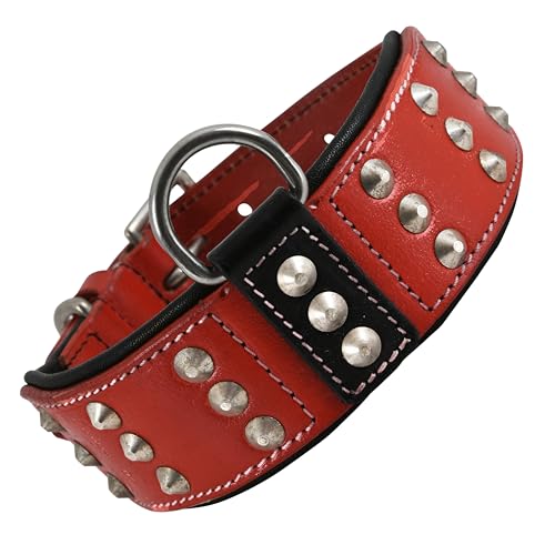 DowgClub | Hundehalsband aus echtem Leder | Sattelqualität, Vollkorn, strapazierfähig, stark | Genietete Nieten, bequem, gepolstert, für mittel, große, XL-Rassen (XL (Halsumfang 55cm-65cm), rot) von DowgClub