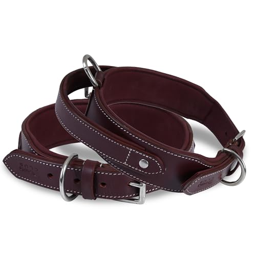 DowgClub | Taktisches Hundehalsband mit Griff | Echtes Leder in Sattelqualität, strapazierfähig, bequem, gepolstert, stark, ideal für mittel, große, XL-Rassen (L (Halsumfang 47-57 cm), Kirsche) von DowgClub