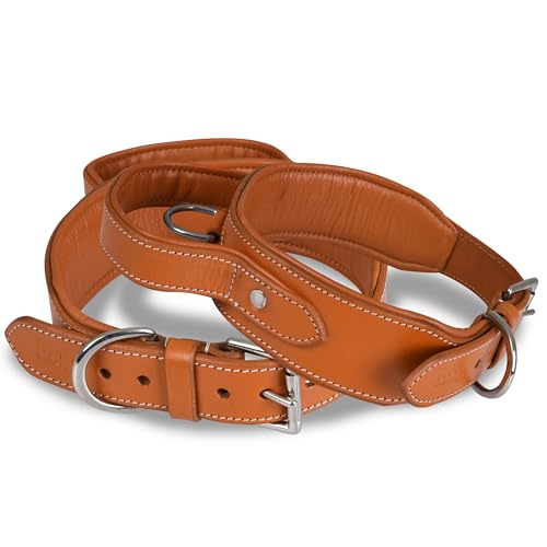 DowgClub | Taktisches Hundehalsband mit Griff | Echtes Leder in Sattelqualität, strapazierfähig, bequem, gepolstert, stark, ideal für mittel, große, XL-Rassen (XL (Halsumfang 57-65cm), Héllbraun) von DowgClub