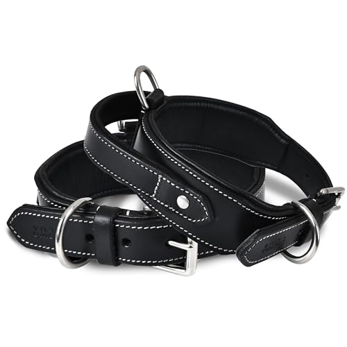 DowgClub | Taktisches Hundehalsband mit Griff | Echtes Leder in Sattelqualität, strapazierfähig, bequem, gepolstert, stark, ideal für mittelgroße, große, XL-Rassen (XL (Halsumfang 57-65cm), Schwarz) von DowgClub