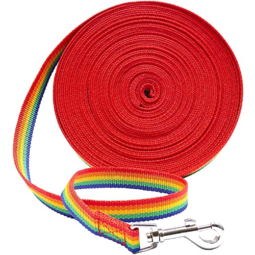 Downtown Pet Supply Hundeleine für Hunde / Welpen, lange Schleppleine – perfekt für Verhaltenstraining, mehrere Größen (30,5 m, Regenbogen) von Downtown Pet Supply