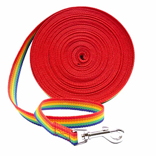 Downtown Pet Supply - Lange Hundeleine – Hundetrainingsleine – Schlepp- und Gehorsamkeitstraining – Nylon – 15,2 m – Regenbogen-Hundeleine von Downtown Pet Supply