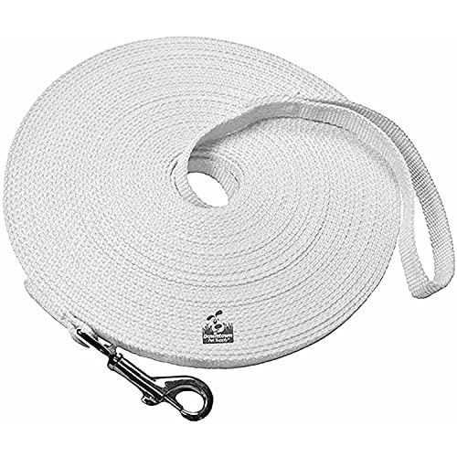 Downtown Pet Supply - Lange Hundeleine – Hundetrainingsleine – Schlepp- und Gehorsamkeitstrainingswerkzeuge – Nylon – 30,5 m – Hellgraue Hundeleine von Downtown Pet Supply