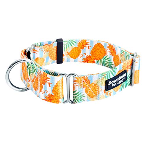 Downtown Pet Supply - Martingale Halsband für Hunde - Hundetraining Halsband - Großes, breites & dickes Hundehalsband - Ausbruchsicher, Wetterfest, Langlebig und Bequem - Ananas - Großes Hundehalsband von Downtown Pet Supply