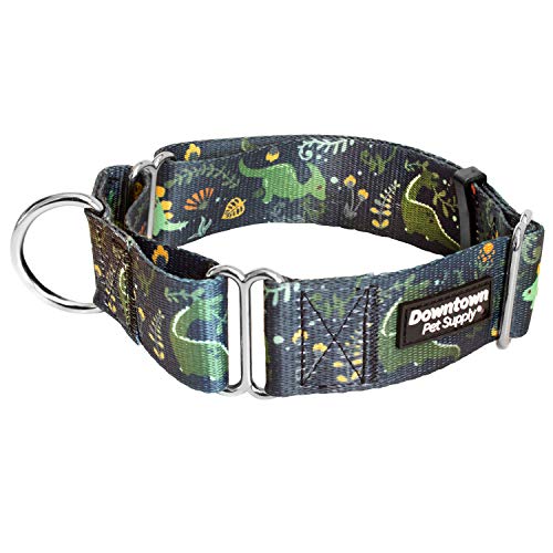 Downtown Pet Supply - Martingale Halsband für Hunde - Hundetrainingshalsband - großes, breites & dickes Hundehalsband - ausbruchsicher, wetterfest, langlebig und bequem - Dino - großes Hundehalsband von Downtown Pet Supply