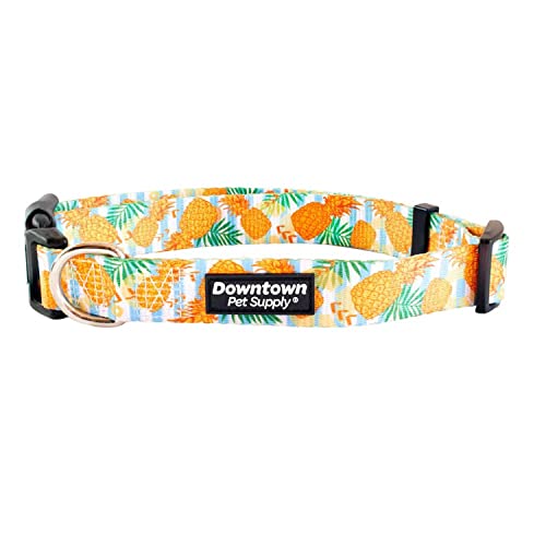 Downtown Pet Supply Niedliches und schickes gedrucktes Muster, weiches Hunde- und Welpenhalsband für kleine, mittelgroße und große Hunde (Ananas, Medium) von Downtown Pet Supply