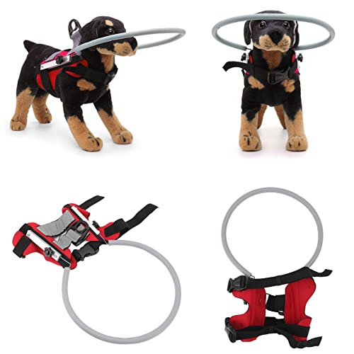 Hunde-Halo für Blinde Hunde, Halo-Hundehalsband, Haustier-Blind-Halo, Praktische Kollisionsvermeidung, Leichtes Blind-Halo-Geschirr mit (S Durchmesser 22 cm (für 4–10 kg/8,8–22,0 von Dpofirs