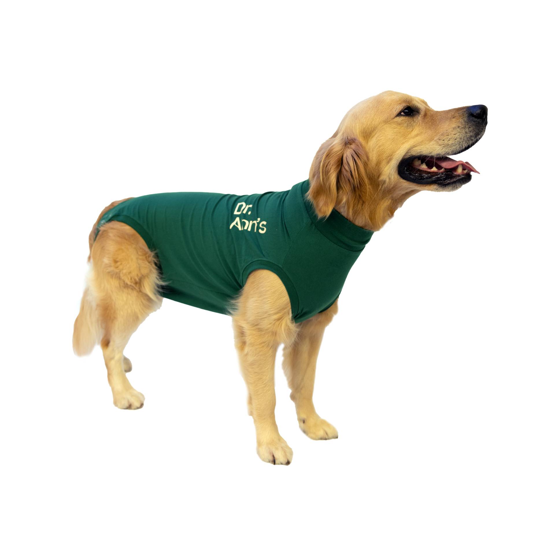 Dr. Ann's Protective Shirt Hund M – Grün Dr. Ann's Protective Shirt Hund M – Grün von Dr. Ann's