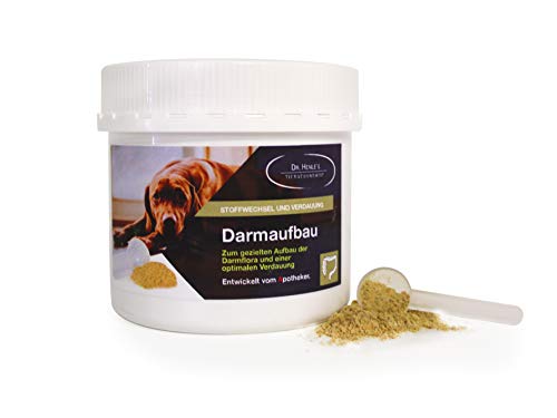 Dr. Henle`s Darmaufbau Hund (180g) von Dr. Henle