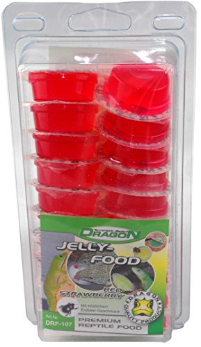 Jelly Food - 20Stk. Red Strawberry 320g von Dragon