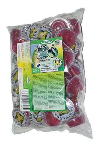 Unbekannt Dragon - Jelly Food 50 a16g STK. - Violet Grape von Dragon