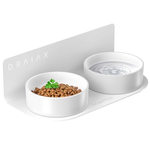 DRAIAX ElegantFeed S Katzennapf Hundenapf aus Keramik erhöht einfach abnehmbar – Fressnapf, Hundebar für Katzen und kleine Hunde – Futterstation, Futternapf in weiß zur Wandmontage von Draiax