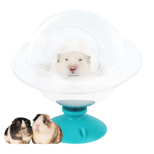 Dranng Hamster-Badewanne, Sandbad, Chinchilla-Klo, Badeschale, Duschraum, Sandbehälter, Entspannungshaus, transparent, für Rennmäuse, Zwerghamster von Dranng